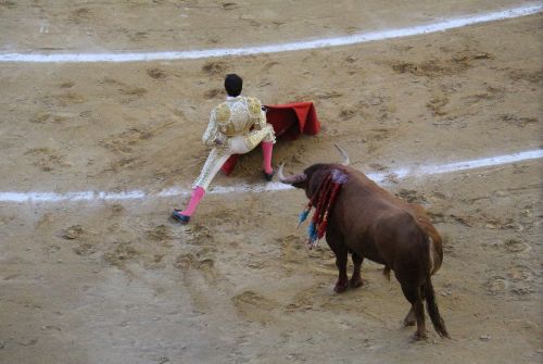torero bullring blood