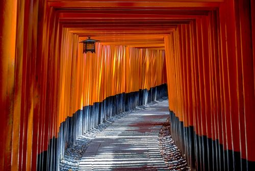 torii gate architecture