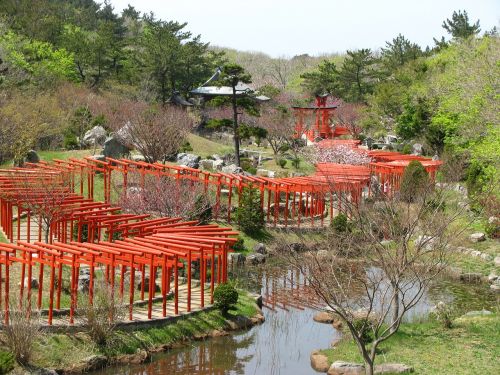 torii red shrine