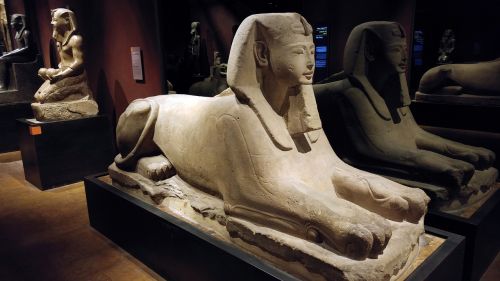 torino egyptian museum egyptian statues