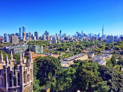 toronto skyline cityscape