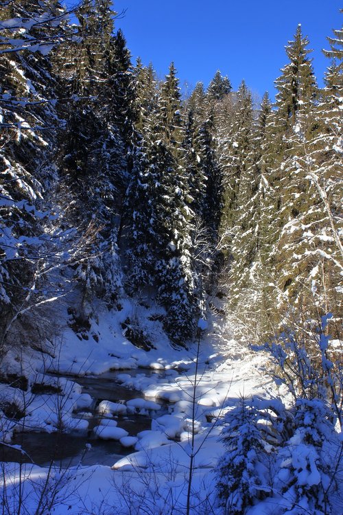 torrent  mountain stream  winter