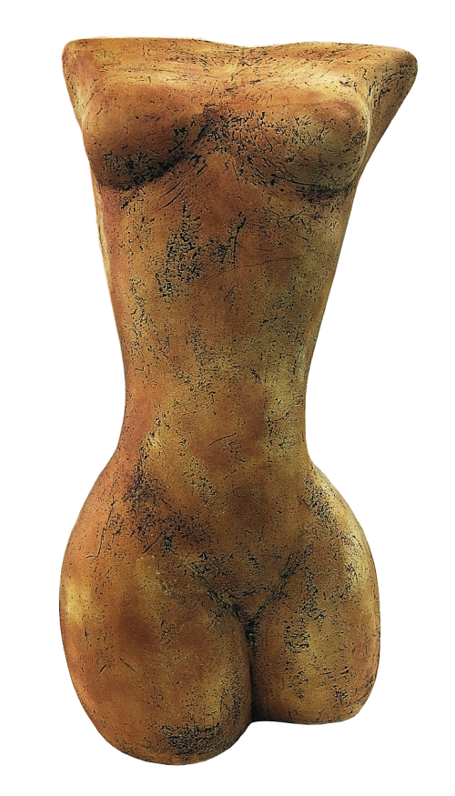 torso figure female