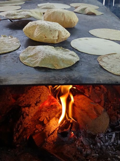 tortilla food gastronomy
