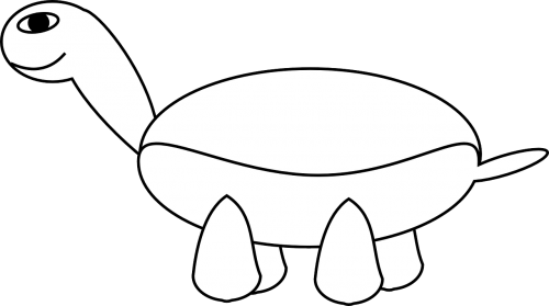 tortoise turtle smiling