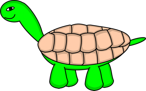 tortoise turtle tortoiseshell