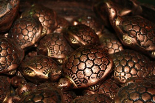 tortoise brown metal