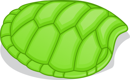 tortoise patterns shell