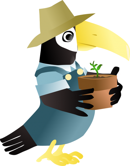 toucan garden gardener