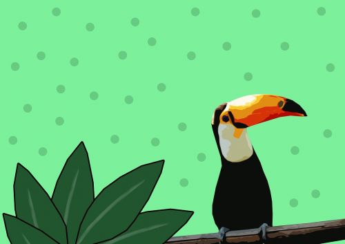 toucan bird figure