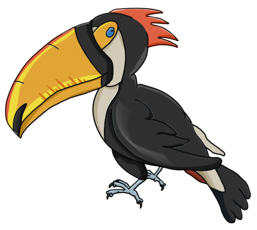 toucan perseid bird