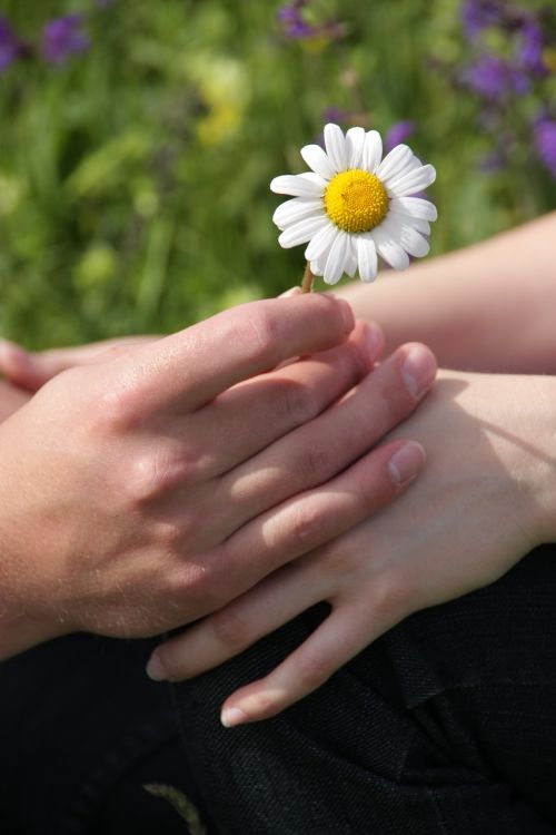 touch hand flower