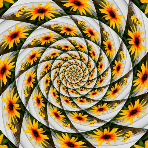 Swirl Of Flowers # 1