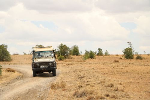 tourists safari kenya