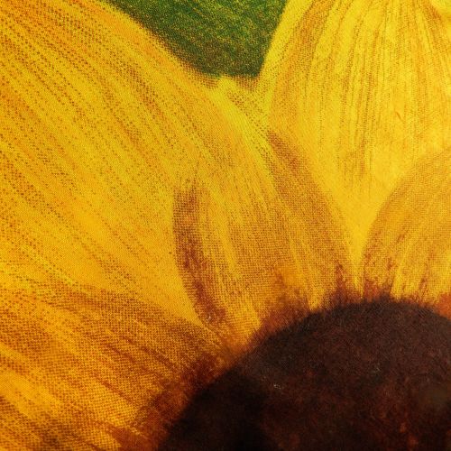 Sunflower (4)