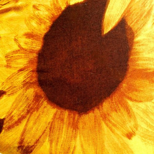 Sunflower (6)