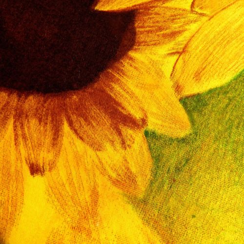 Sunflower (7)