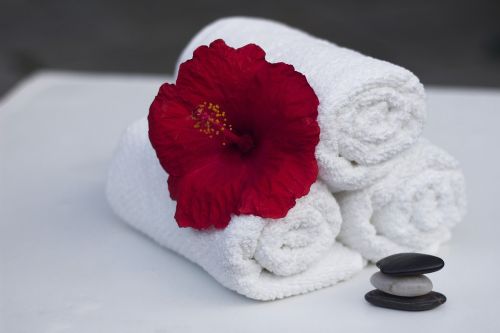 towel hibiscus clean