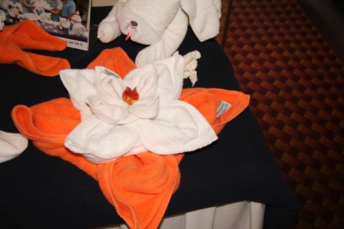 Towel Flower