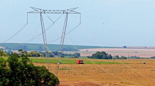 tower transmission plantation