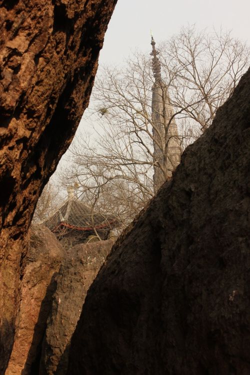 tower stone tree