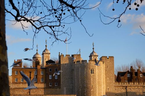 tower of london london tower