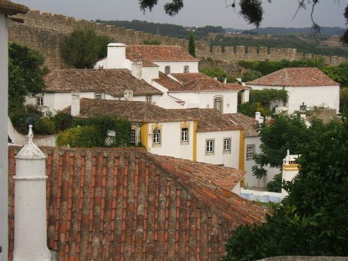 town village roofs