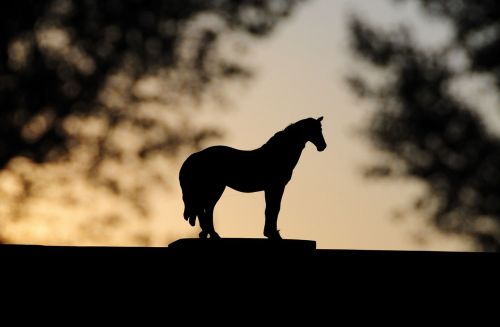 toy horse sunset