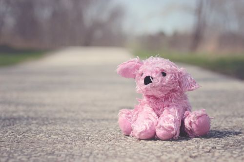 toy pink bear