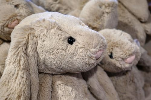 toy fluffy rabbit