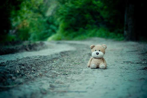 toy  teddy bear  road