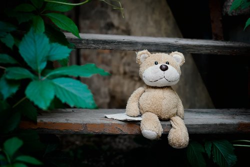 toy  teddy bear  letter