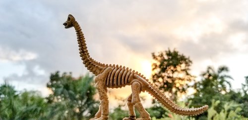toy fossil  dinosaur fossil  pretend