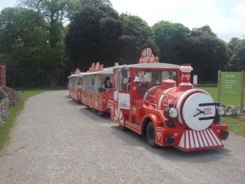 toy train train miniature train