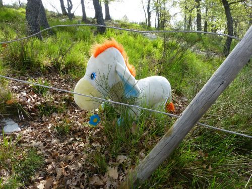 toys paddock horse