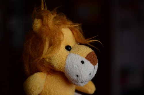 toy lion gift
