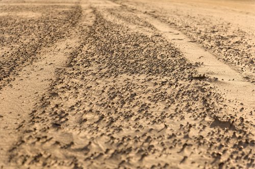 trace  sand  tire tracks