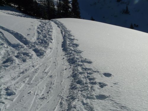 traces trail snow