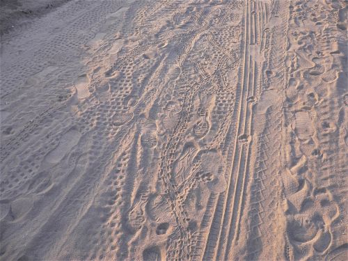 traces sand beach