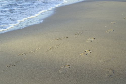 traces  prints  footprints