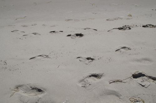 traces footprints sand
