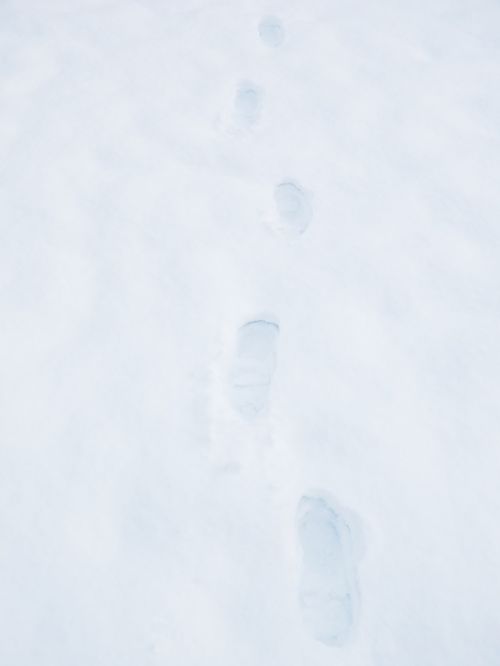 traces footprints snow