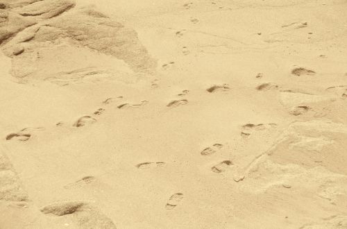 Footprints On The Sand