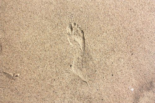 track footprint sand
