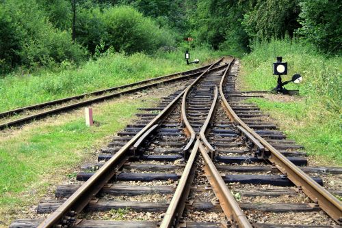 track summer landscape