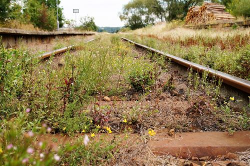 track train tracks railway