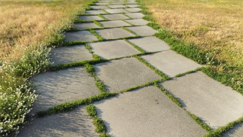 track botanical garden grass