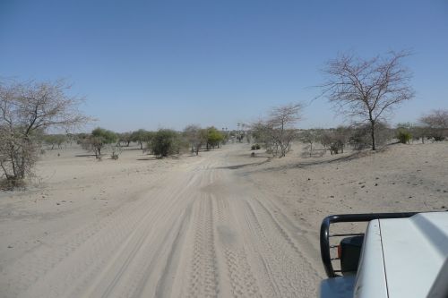 track africa sand