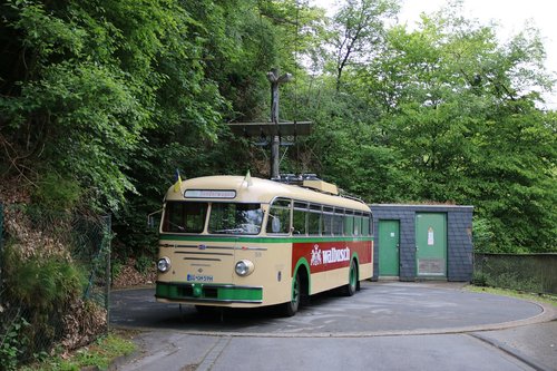 trackless trolley  trolley bus  transport