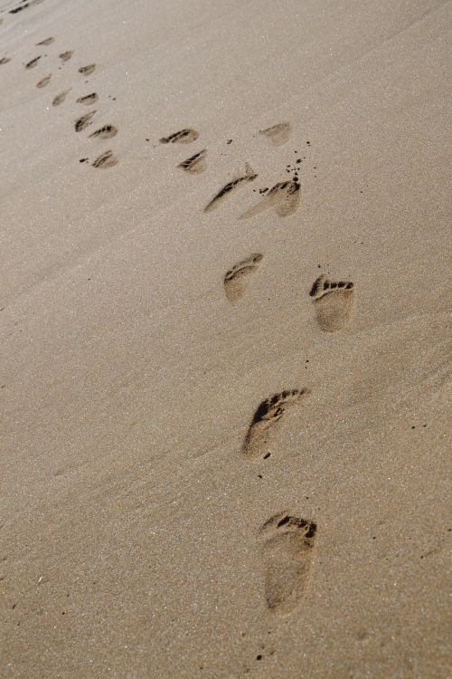 tracks sand beach